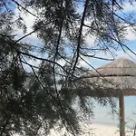 La Finestra Su *
